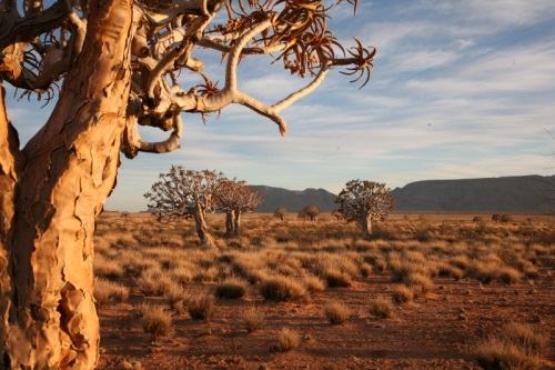 Rondreis Namibie - Het beste van Namibie dag 002